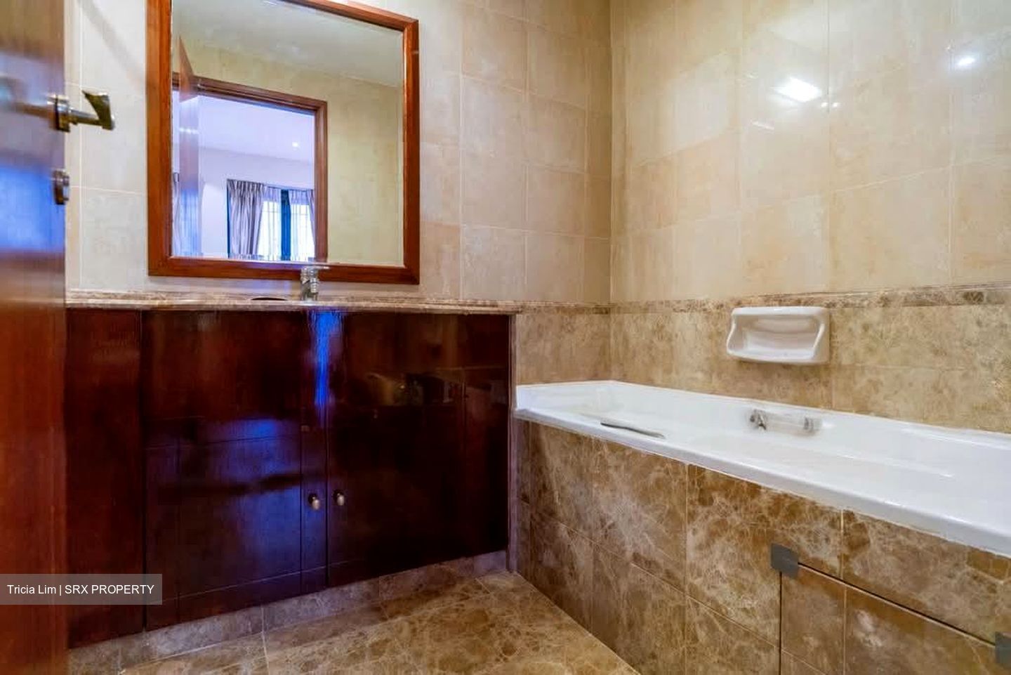Bishan 8 (D20), Condominium #558481441